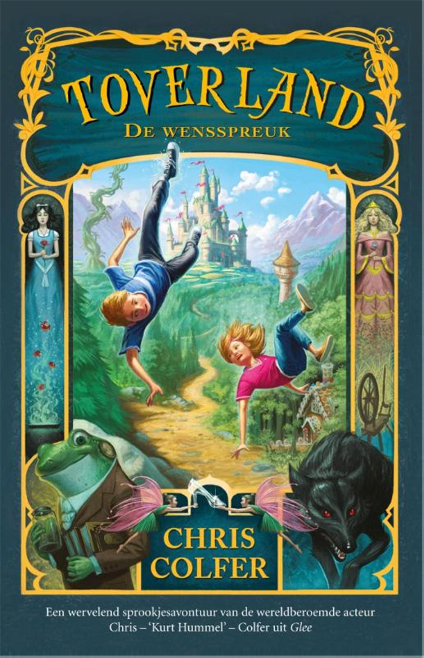 Omslag van De wensspreuk