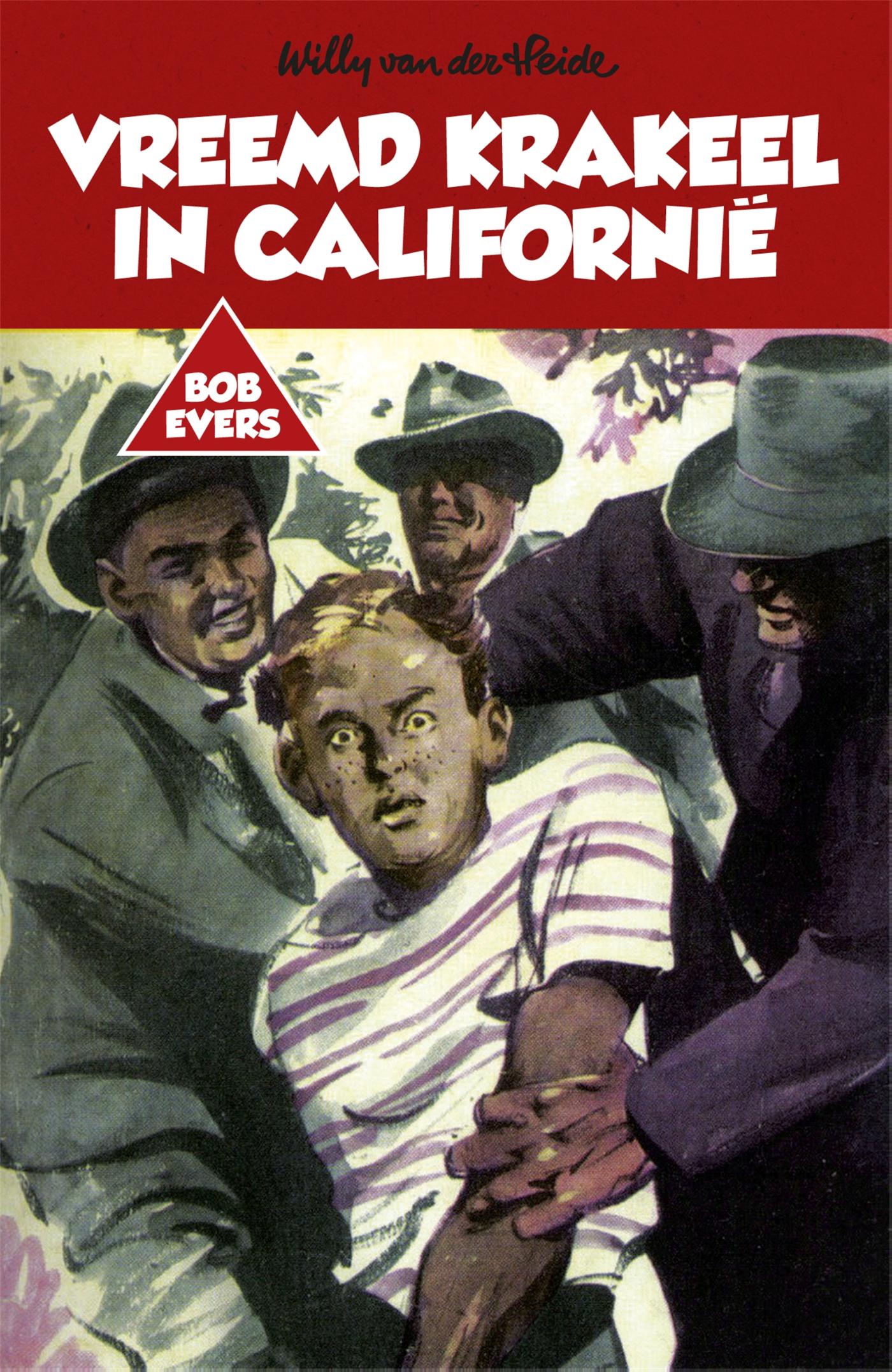 Omslag van Vreemd krakeel in Californië
