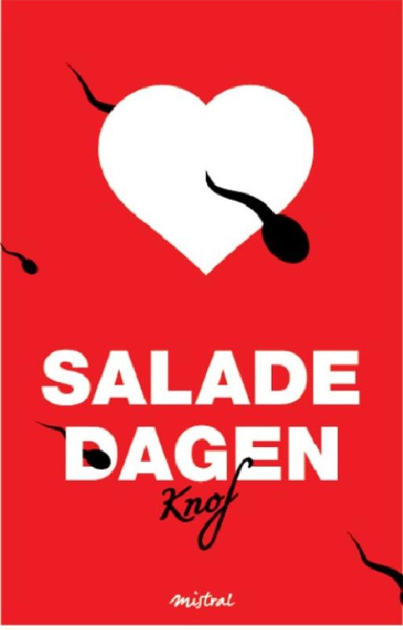 Omslag van Saladedagen