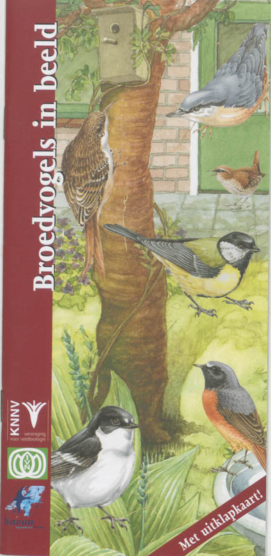 Omslag van Broedvogels in beeld
