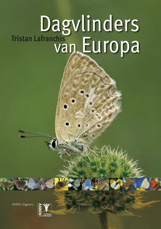 Omslag van Dagvlinders van Europa
