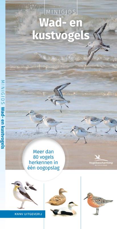Omslag van Minigids Wad- en kustvogels