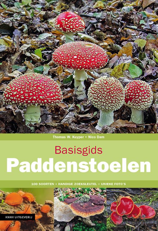 Omslag van Basisgids Paddenstoelen