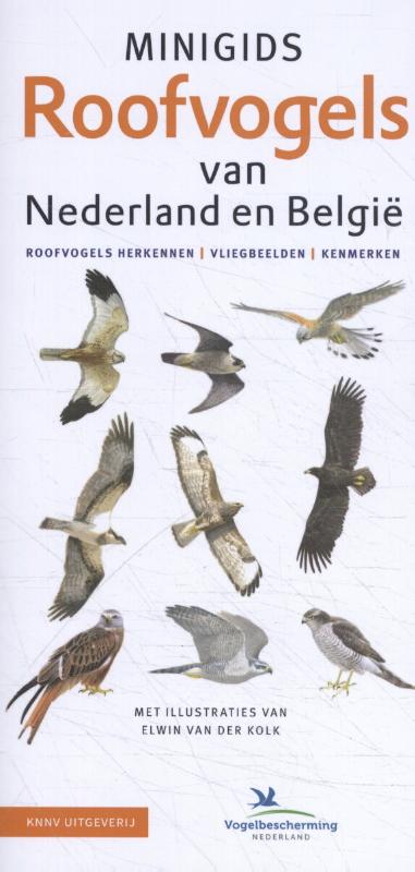 Omslag van Minigids Roofvogels van Nederland en België