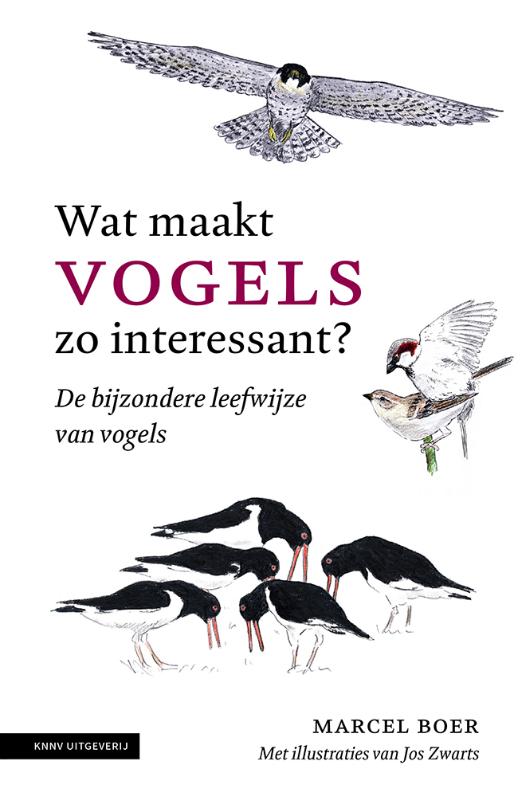Omslag van Wat maakt vogels zo interessant