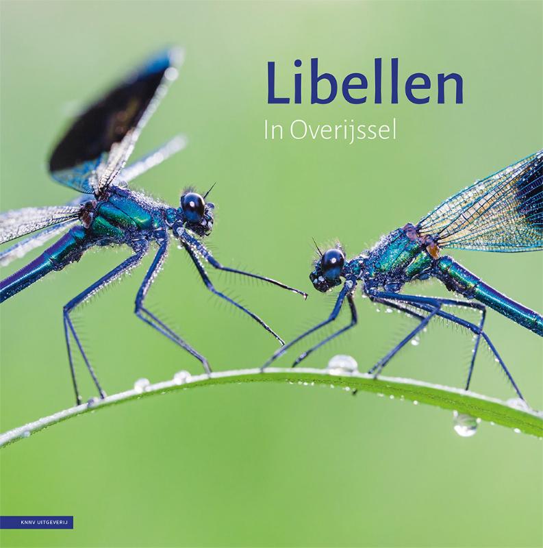 Omslag van Libellen in Overijssel