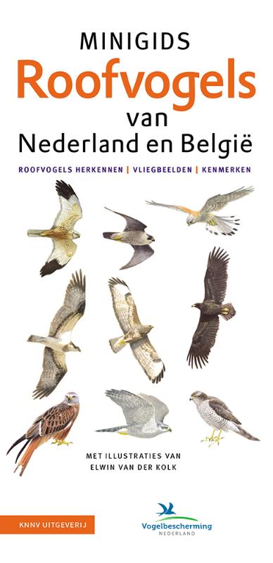 Omslag van Set Minigids Roofvogels van Nederland en Belgie