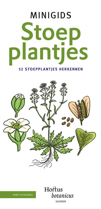 Omslag van Set Minigids Stoepplantjes