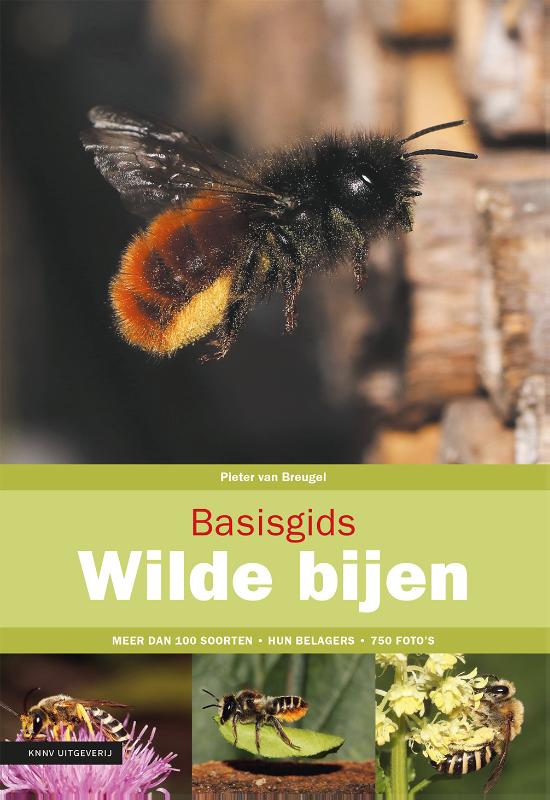 Omslag van Basisgids wilde bijen