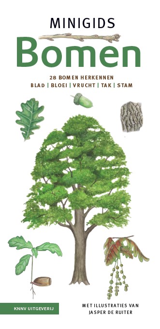 Omslag van Minigids bomen set