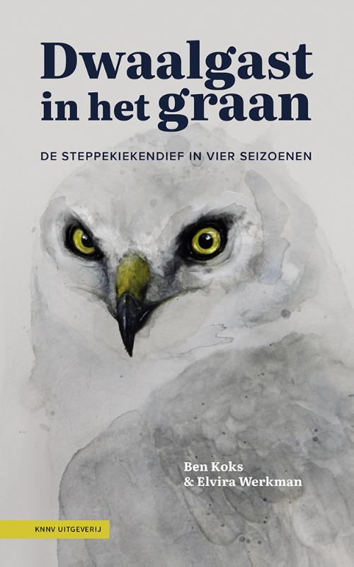 Omslag van Dwaalgast in het graan