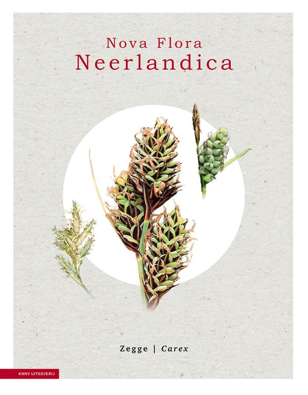Omslag van Zegge - Carex