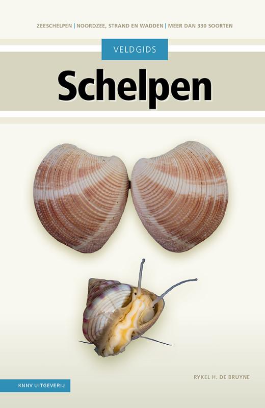 Omslag van Veldgids Schelpen