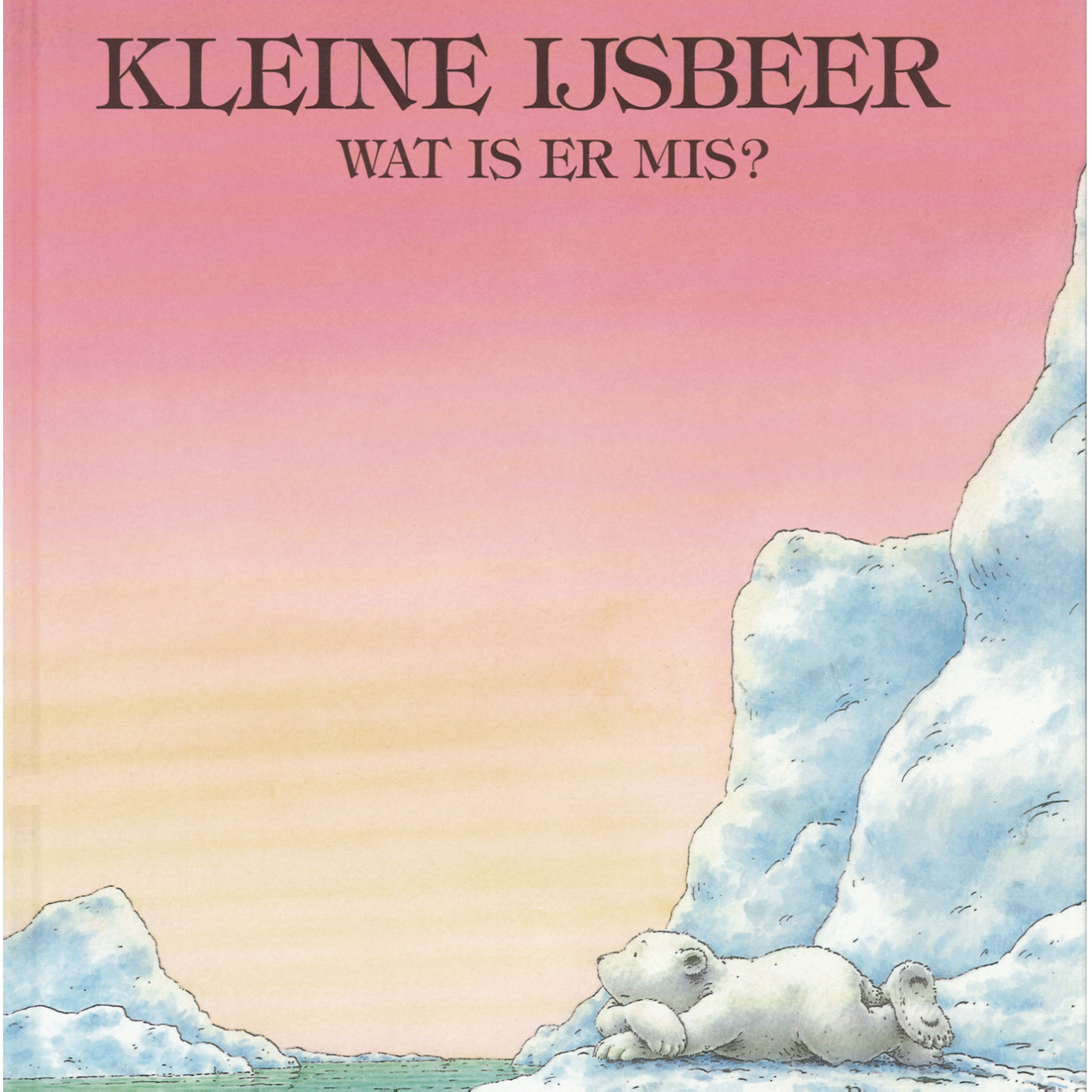 Omslag van Kleine IJsbeer, wat is er mis?