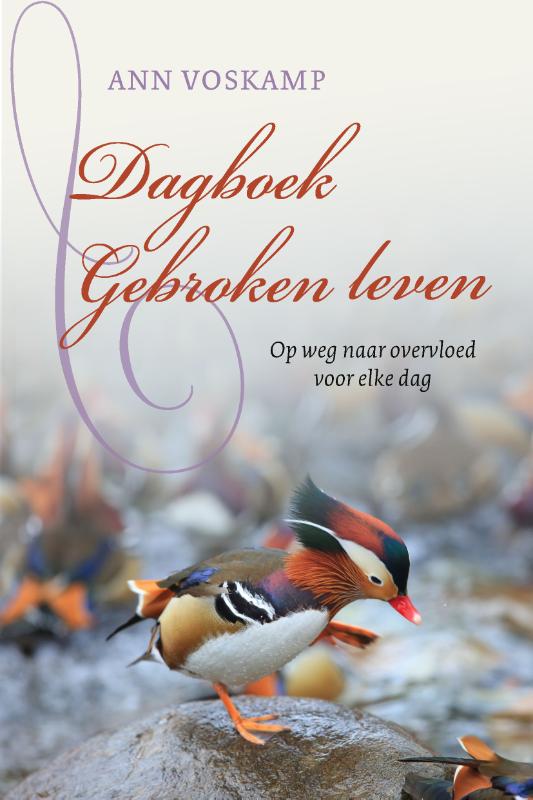 Omslag van Dagboek Gebroken leven