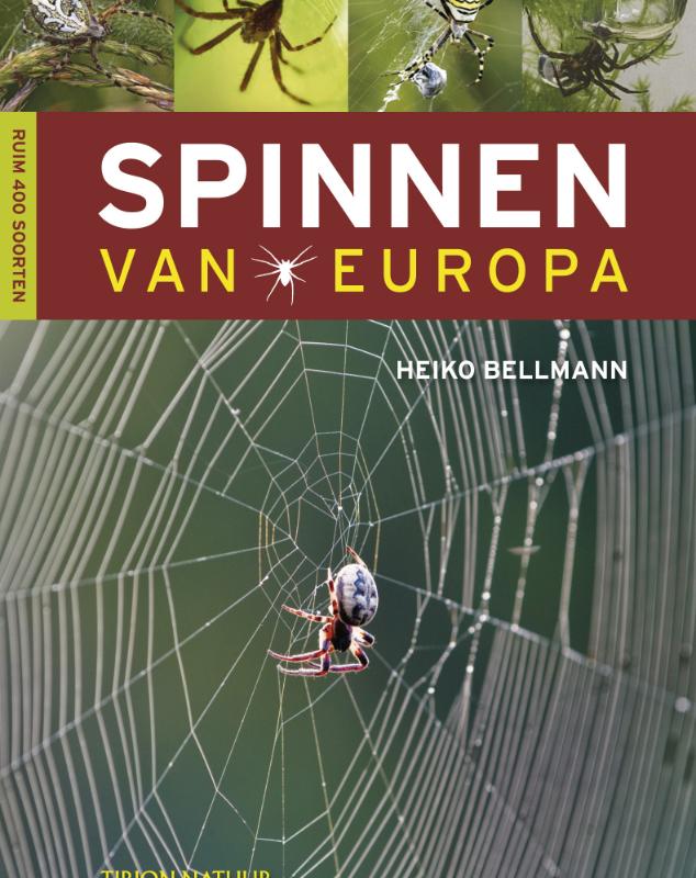 Omslag van Spinnen van Europa