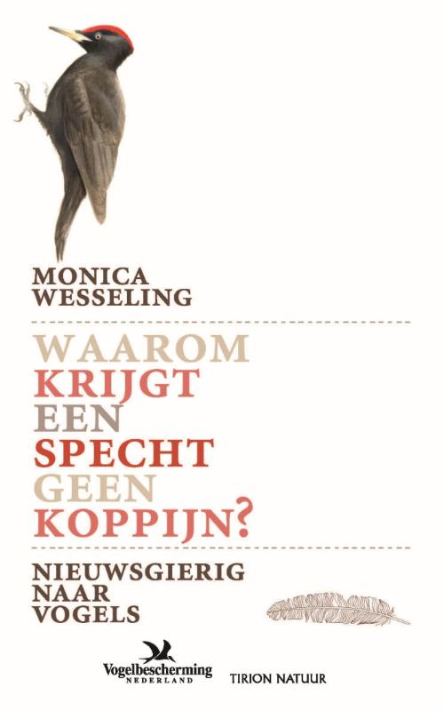 Omslag van Waarom krijgt een specht geen koppijn