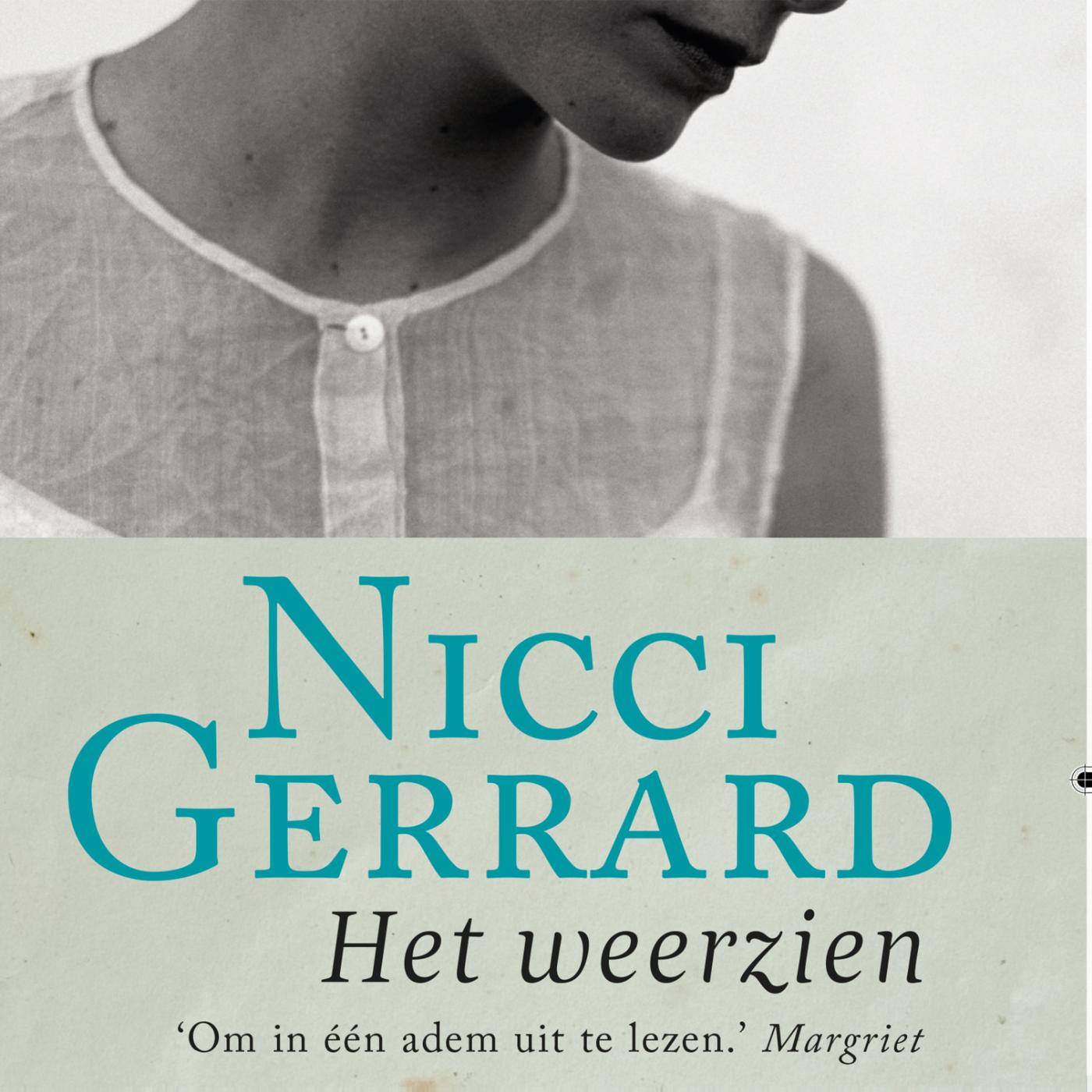Omslag van Het weerzien