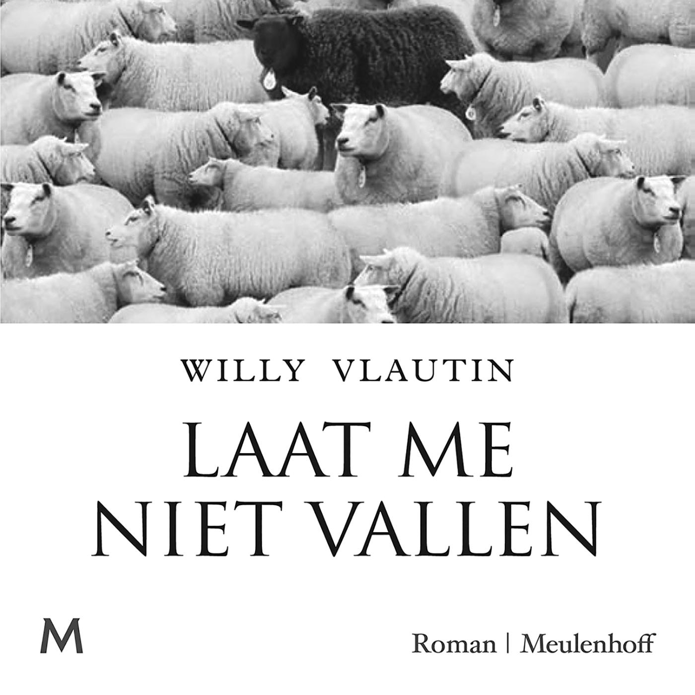 Omslag van Laat me niet vallen
