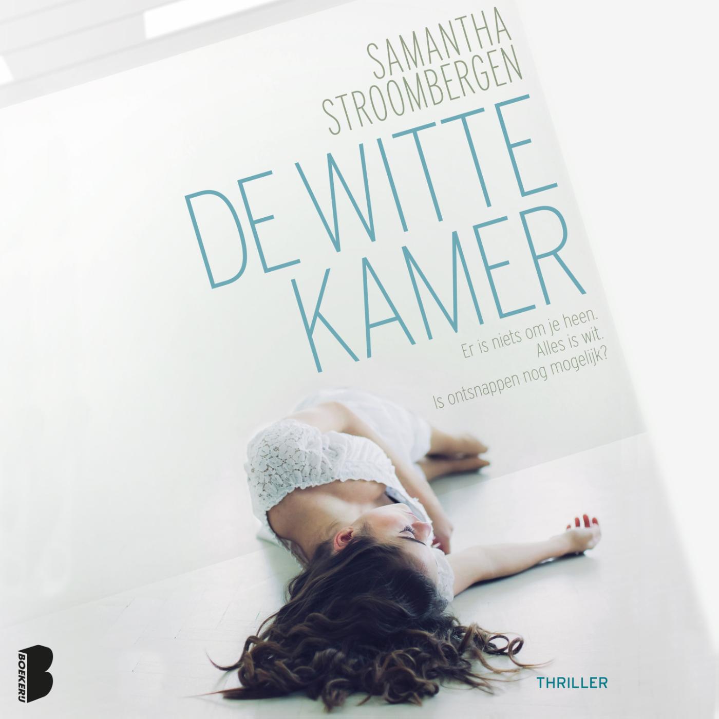 Omslag van De witte kamer