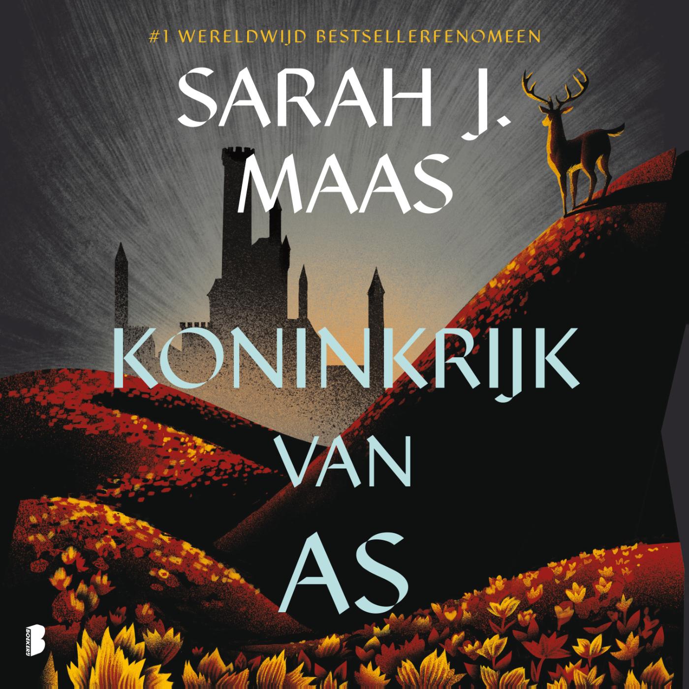 Omslag van Koninkrijk van as