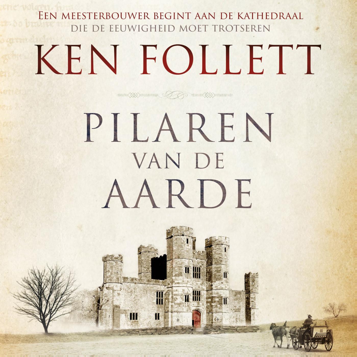 Omslag van Pilaren van de aarde