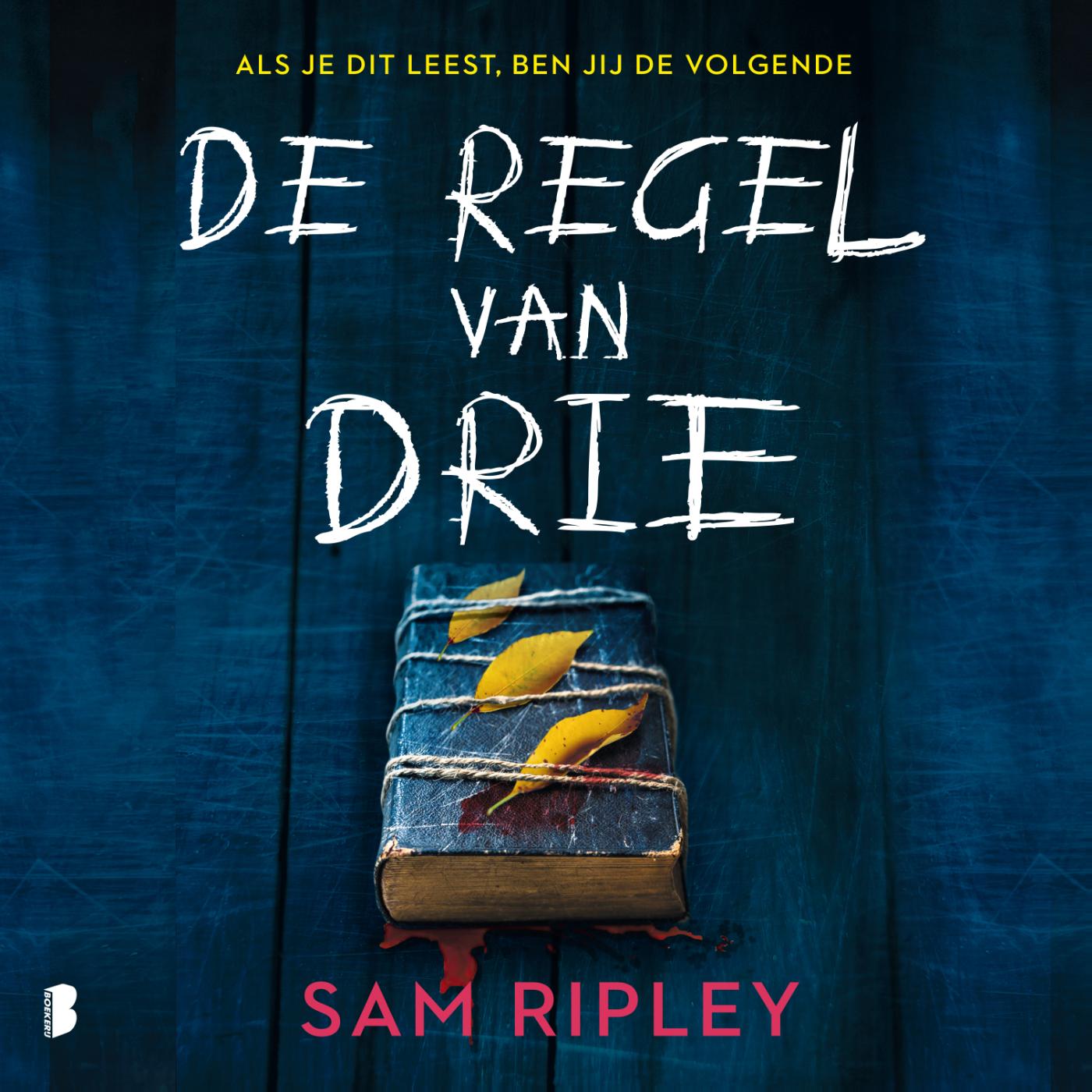 Omslag van De regel van drie