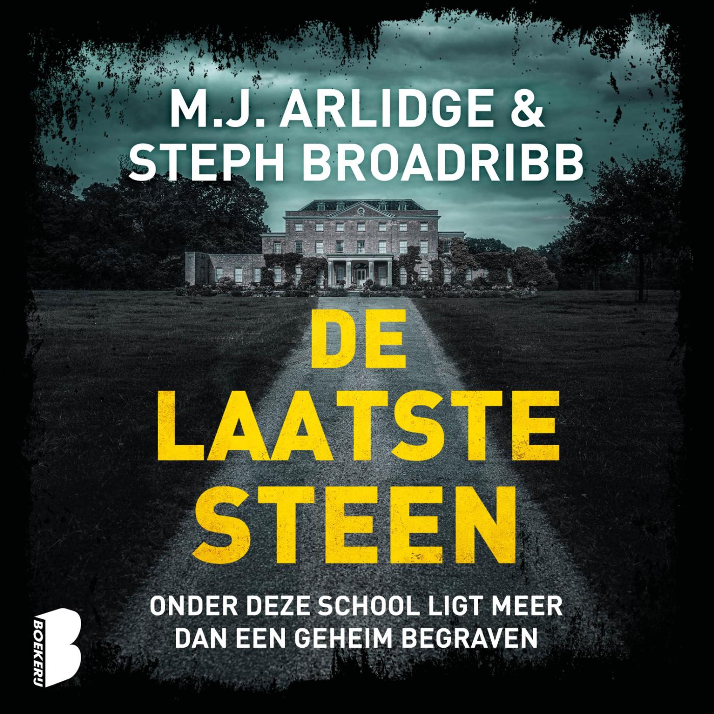 Omslag van De laatste steen