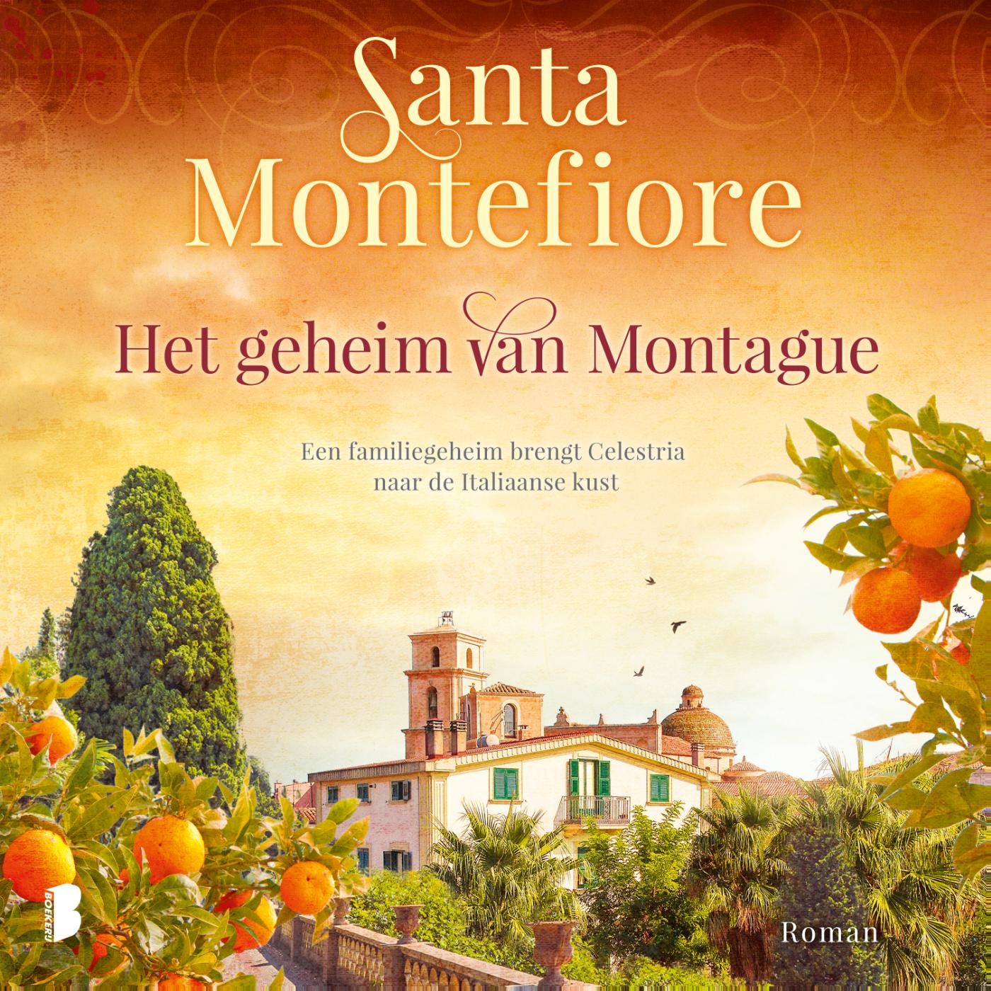 Omslag van Het geheim van Montague