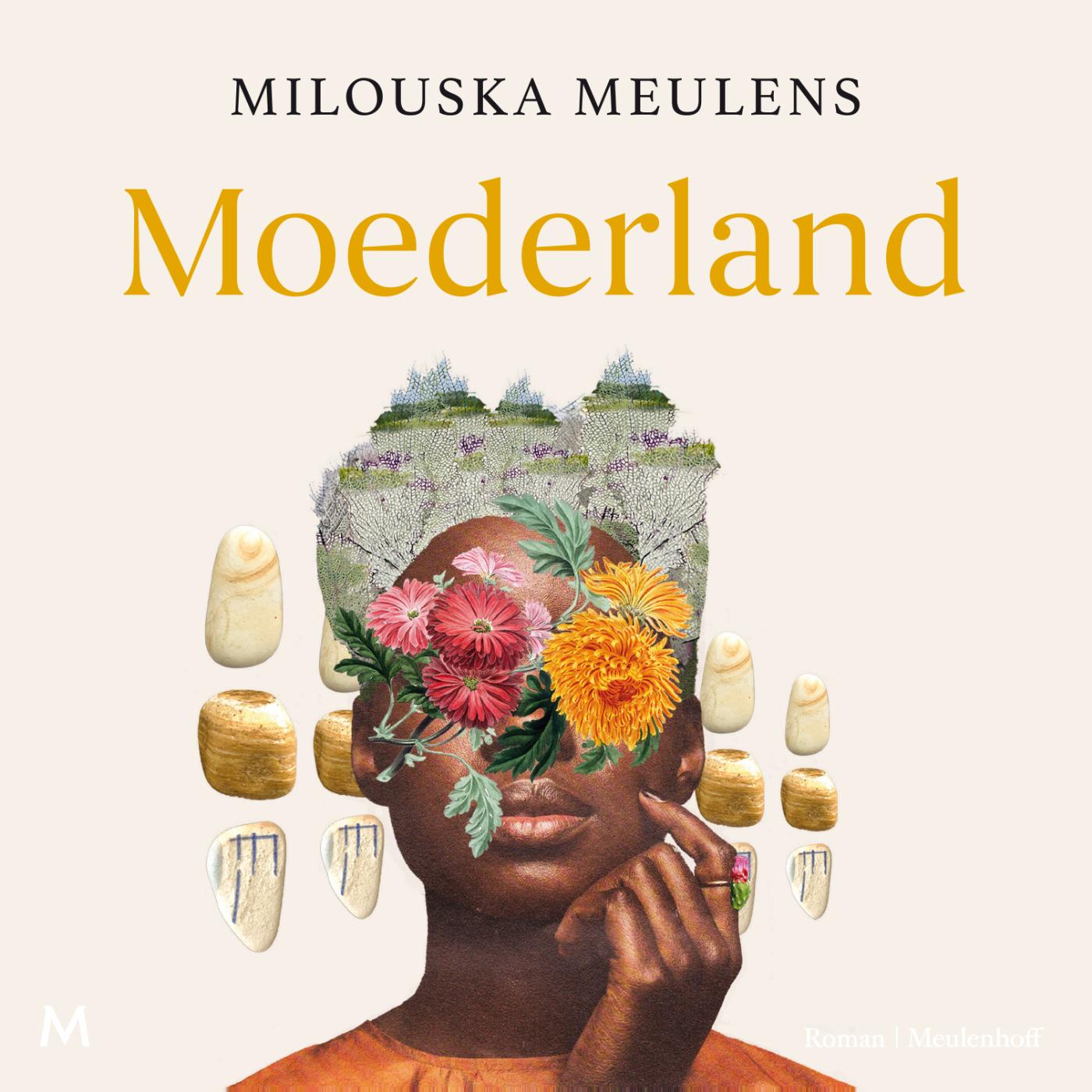 Omslag van Moederland