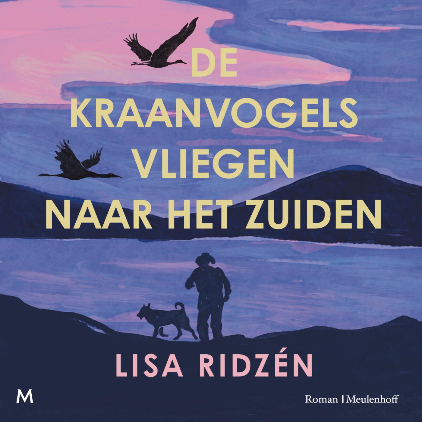 Omslag van De kraanvogels vliegen naar het zuiden