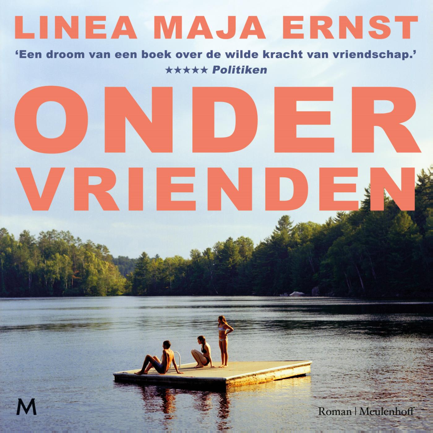 Omslag van Onder vrienden