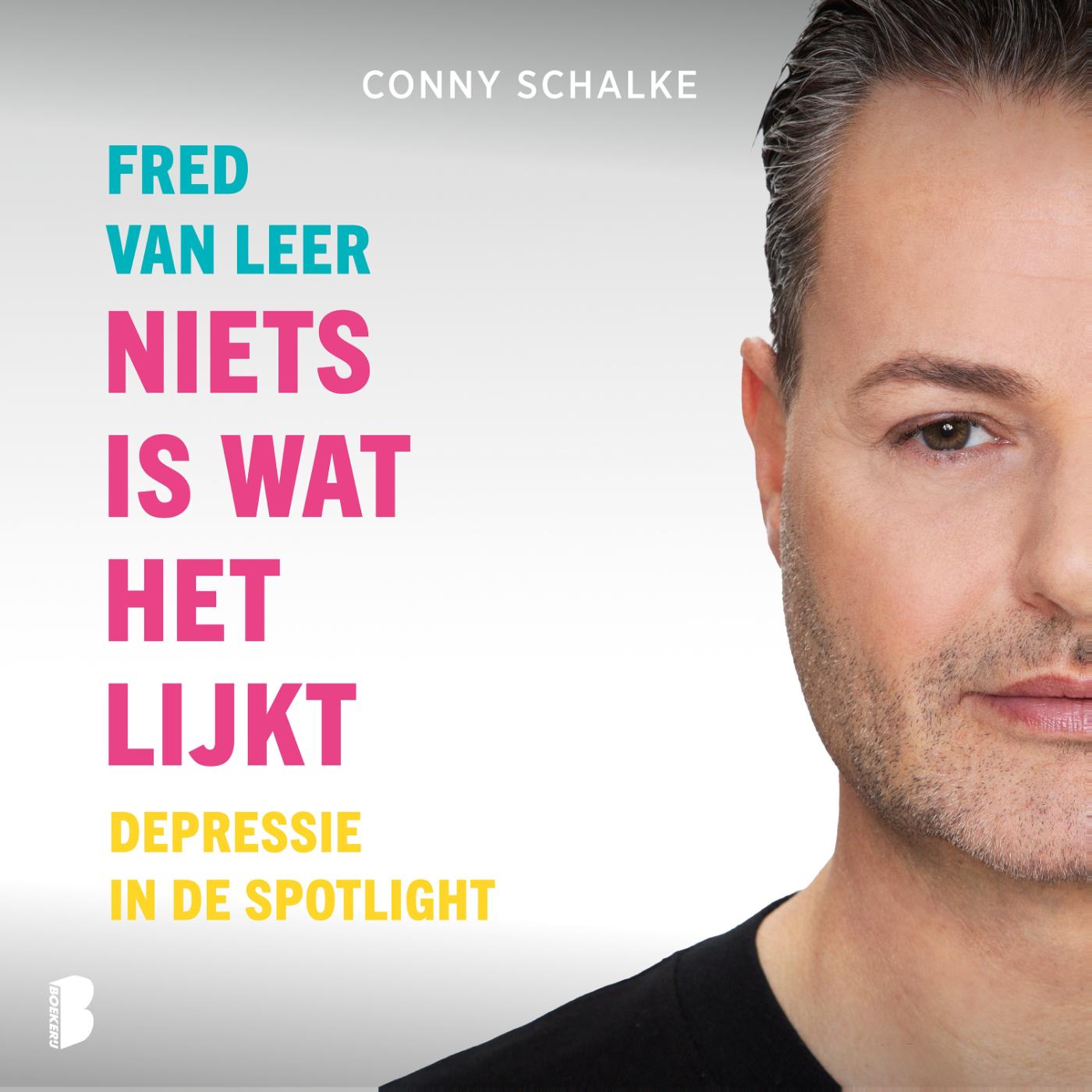 Omslag van Niets is wat het lijkt