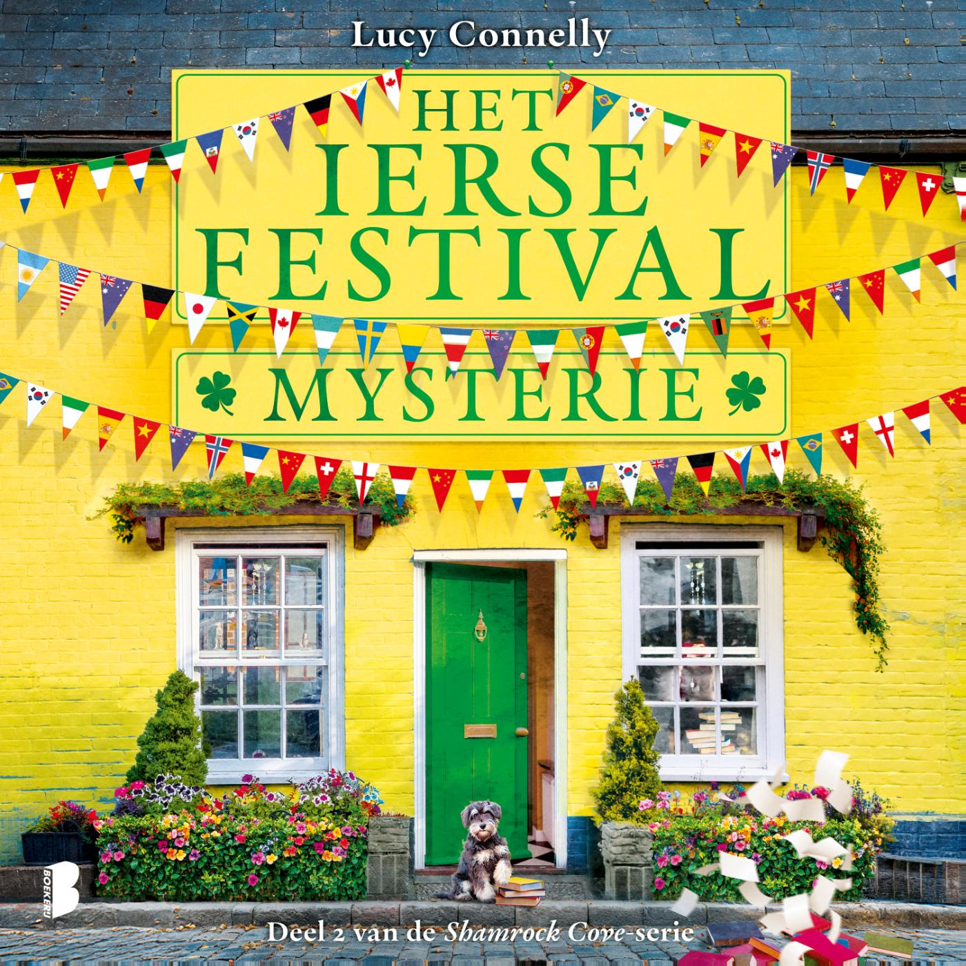 Omslag van Het Ierse festivalmysterie