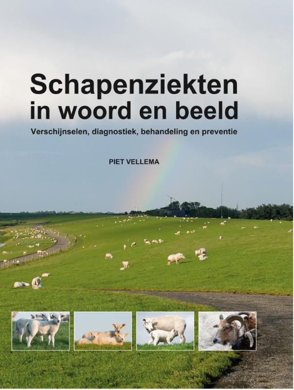Omslag van Schapenziekten in woord en beeld