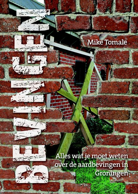 Omslag van Bevingen