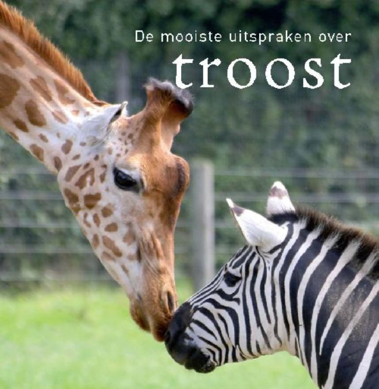 Omslag van De mooiste uitspraken over troost