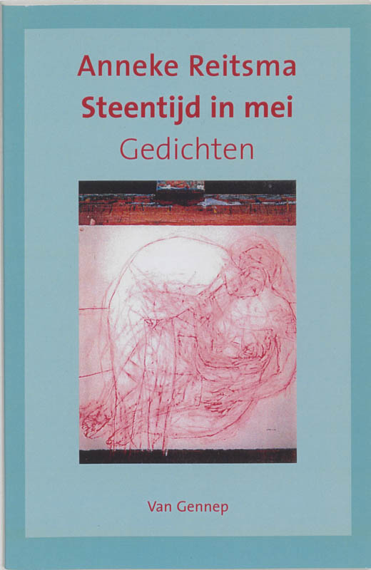 Omslag van Steentijd in mei