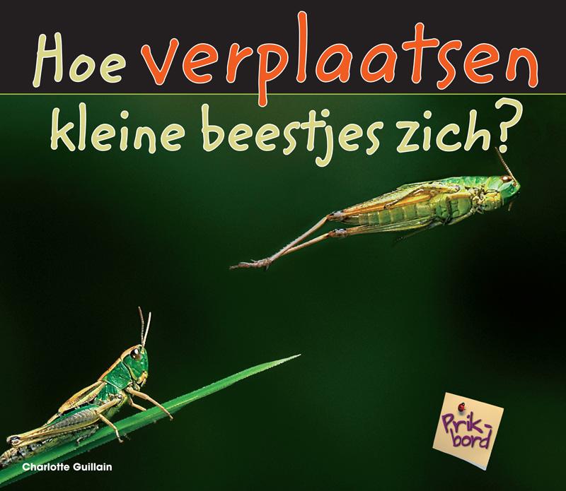 Omslag van Hoe verplaatsen kleine beestjes zich