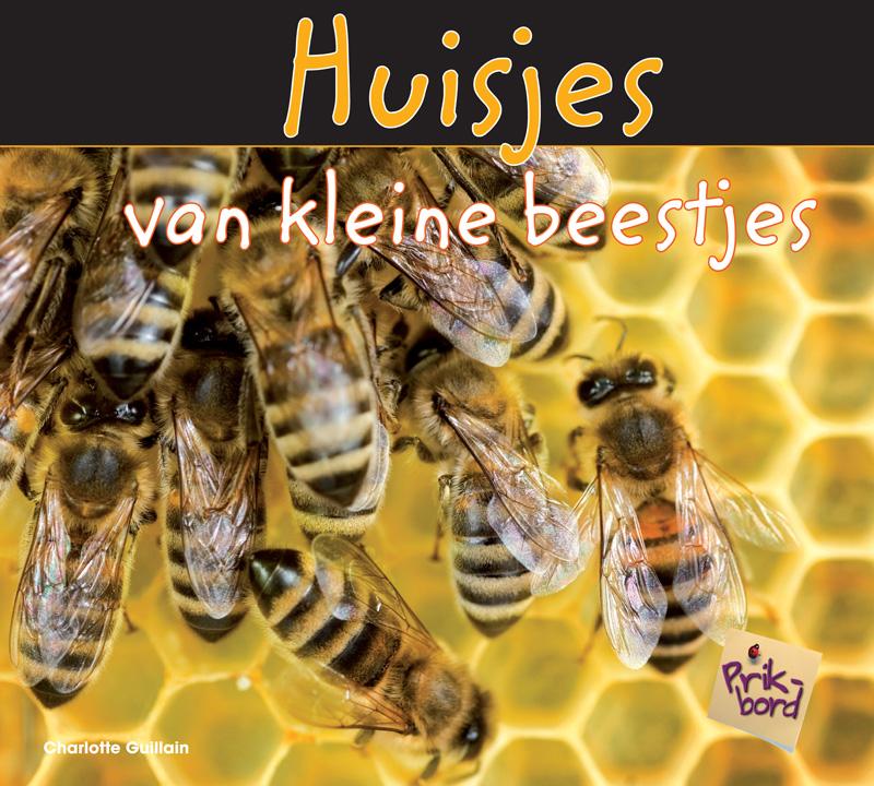 Omslag van Huisjes van kleine beestjes
