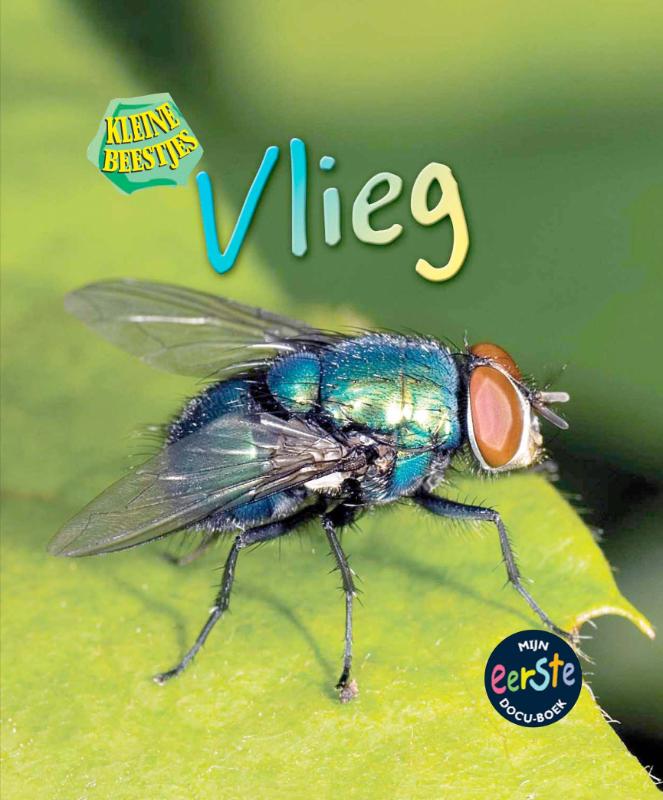 Omslag van Vlieg