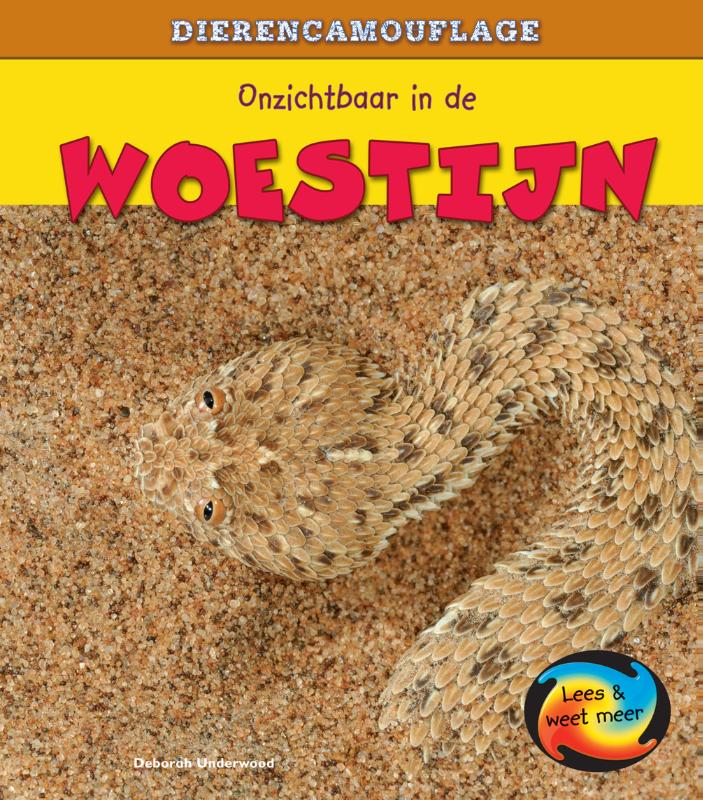 Omslag van Onzichtbaar in de woestijn