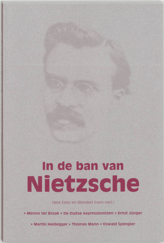 Omslag van In de ban van Nietzsche