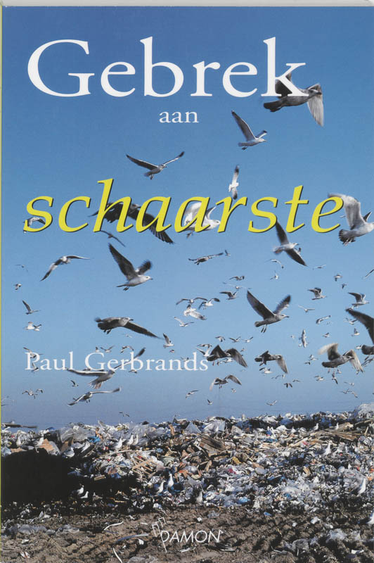 Omslag van Gebrek aan schaarste