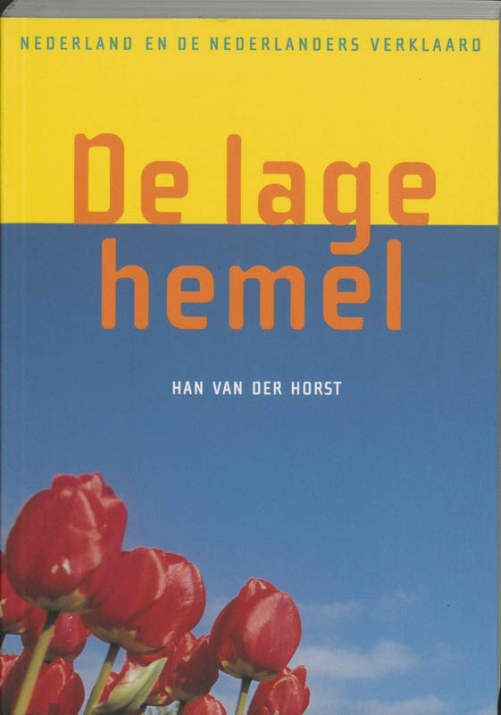 Omslag van De lage hemel