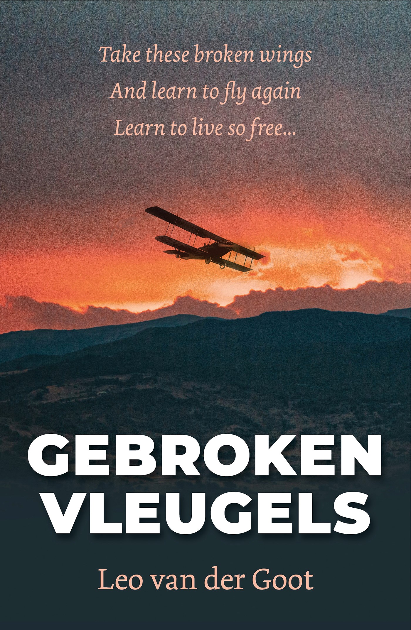 Omslag van Gebroken Vleugels
