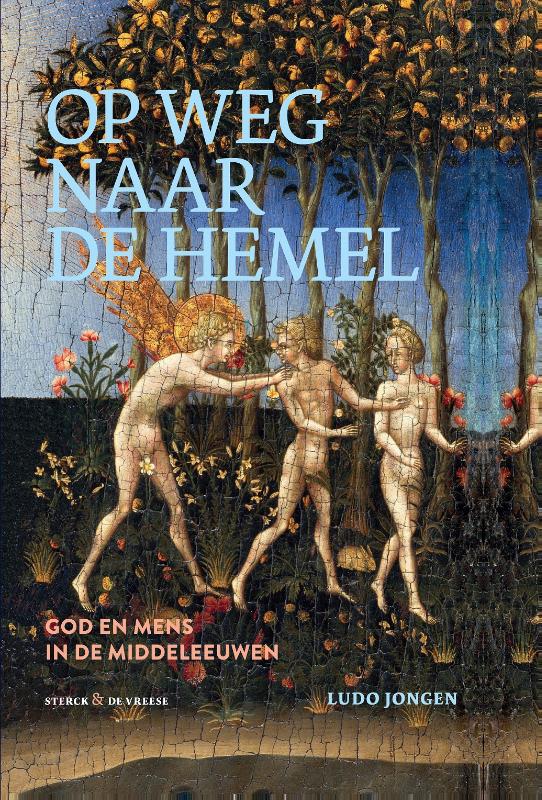 Omslag van Op weg naar de hemel