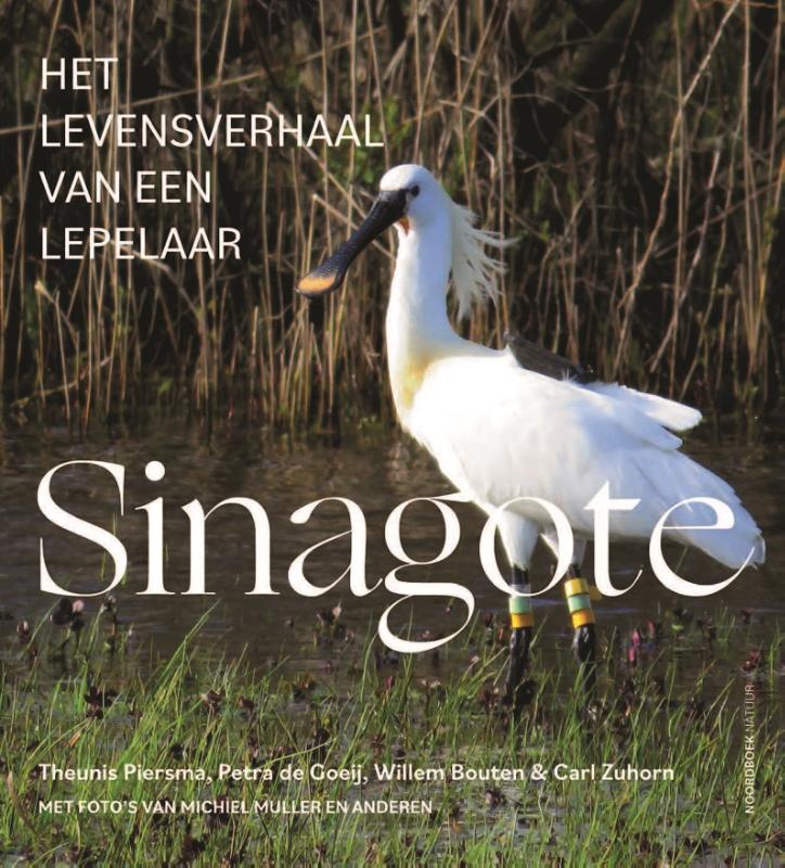 Omslag van Sinagote