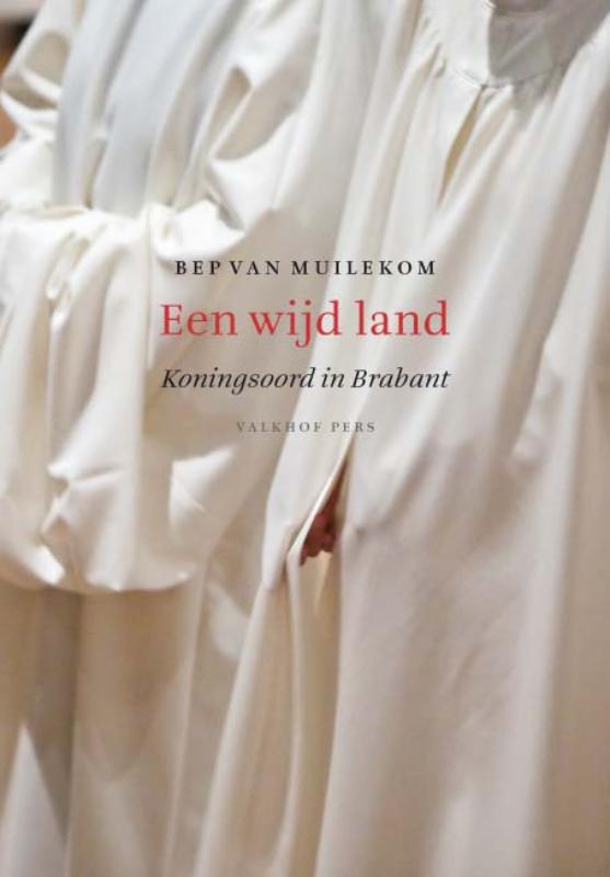 Omslag van Een wijd land