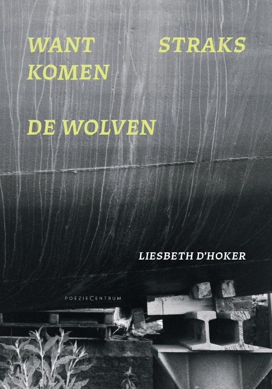 Omslag van Want straks komen de wolven
